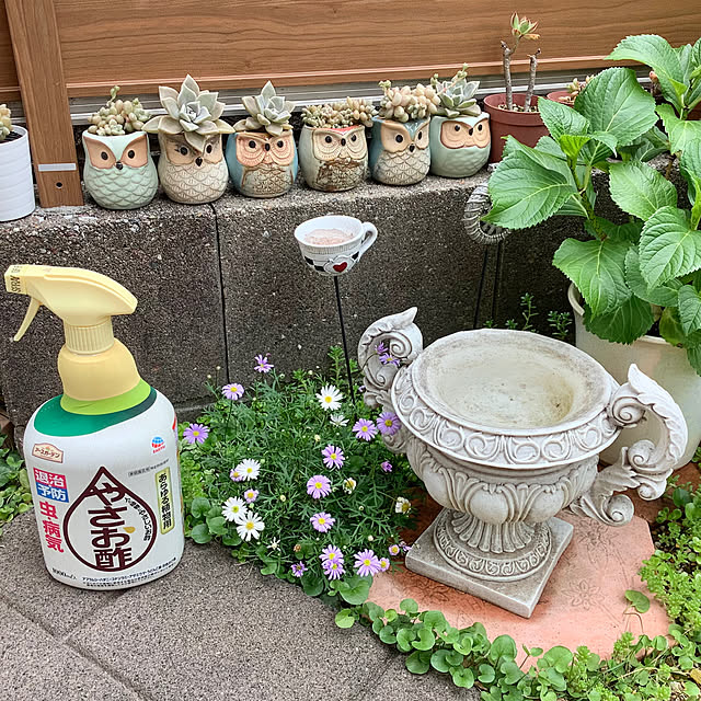 haruminさんの実例写真
