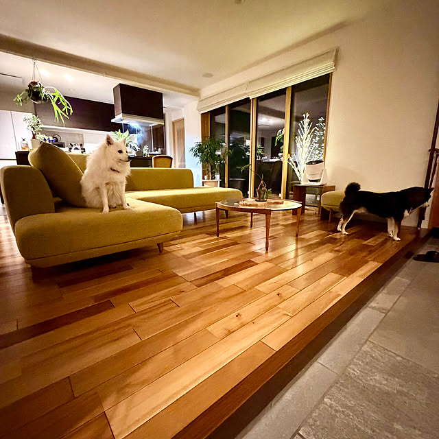 nuruiさんの実例写真