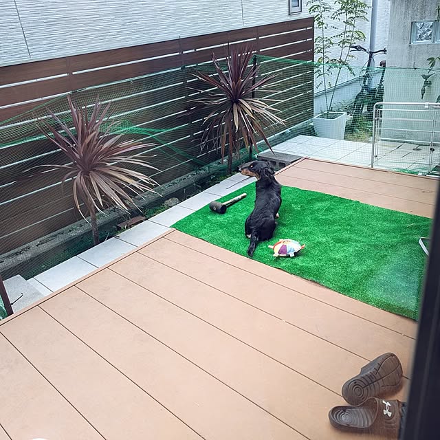 mikoさんの実例写真