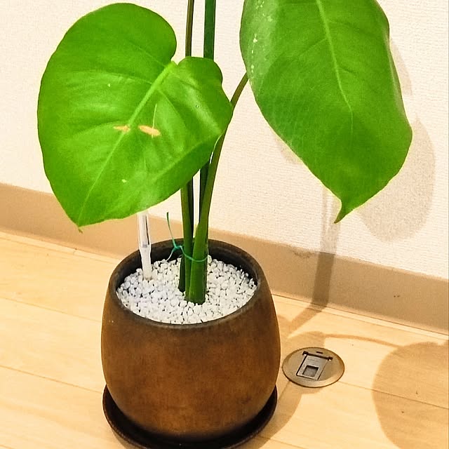 yoshikiさんの部屋
