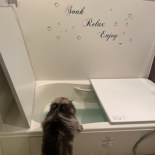 mayumiさんの部屋
