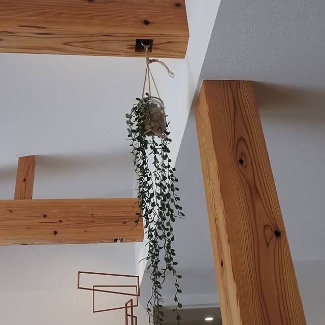 Rubiconさんの部屋