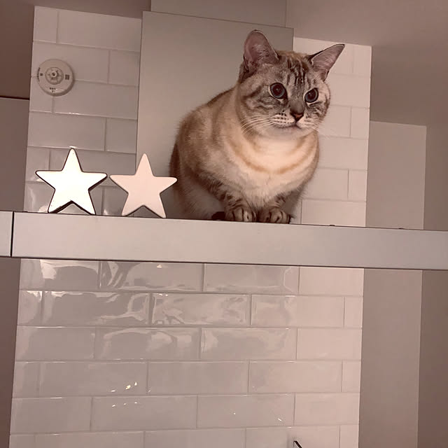 funikoさんの実例写真