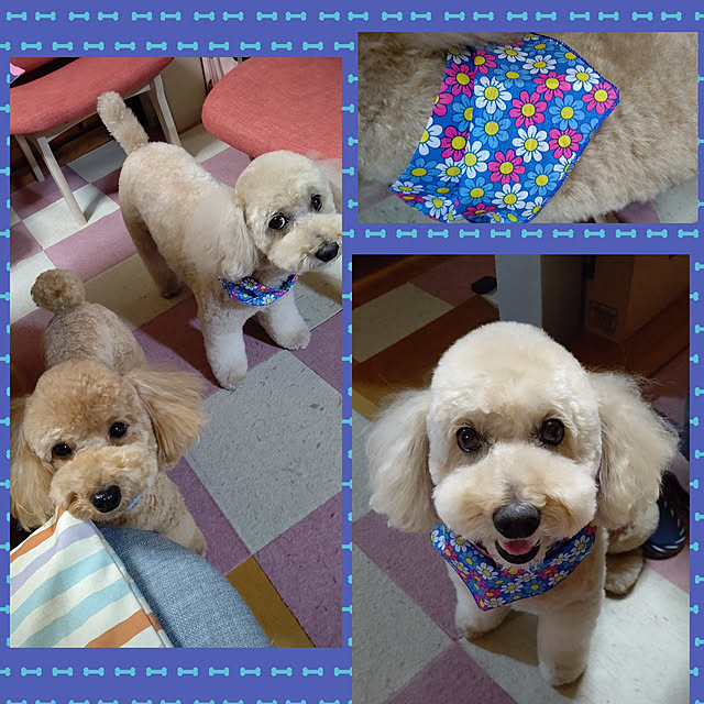 yumirinさんの実例写真