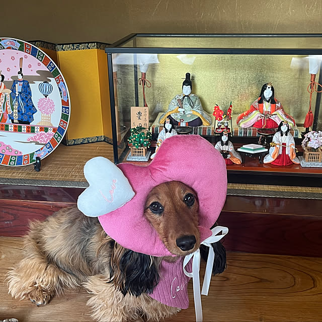 yottanさんの部屋