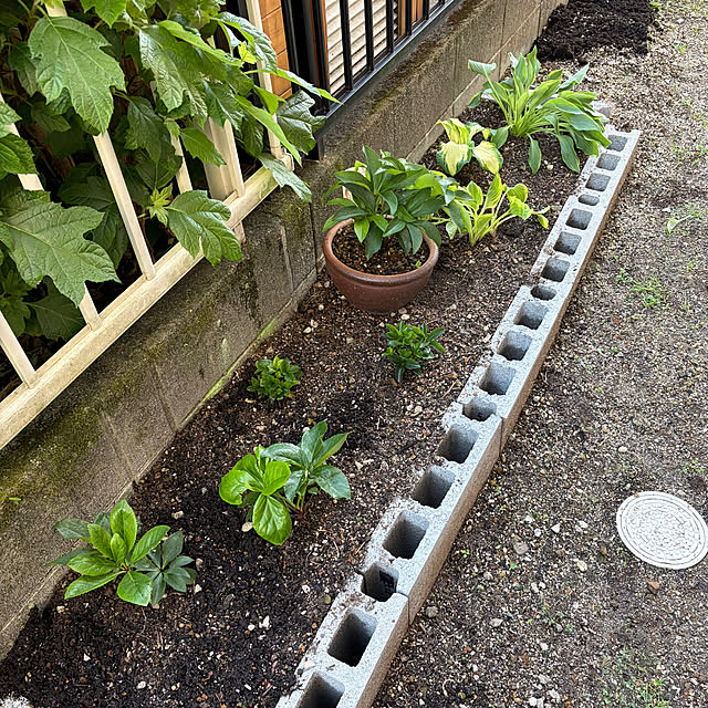 ritsukoさんの部屋