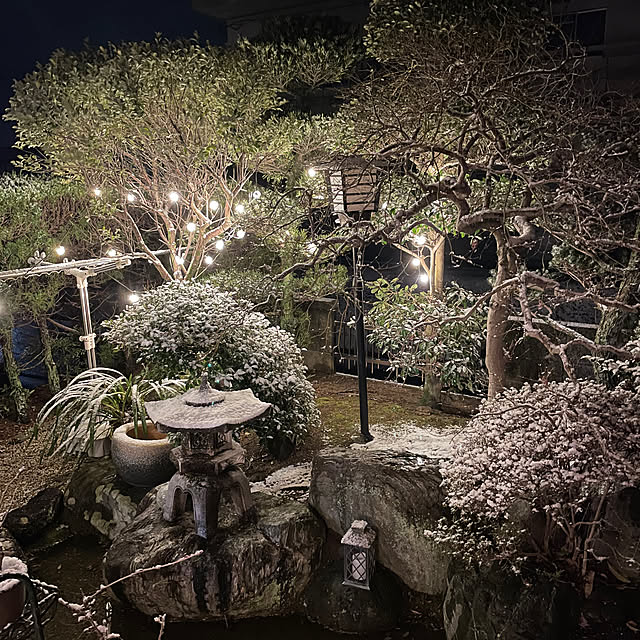 shin0719さんの実例写真