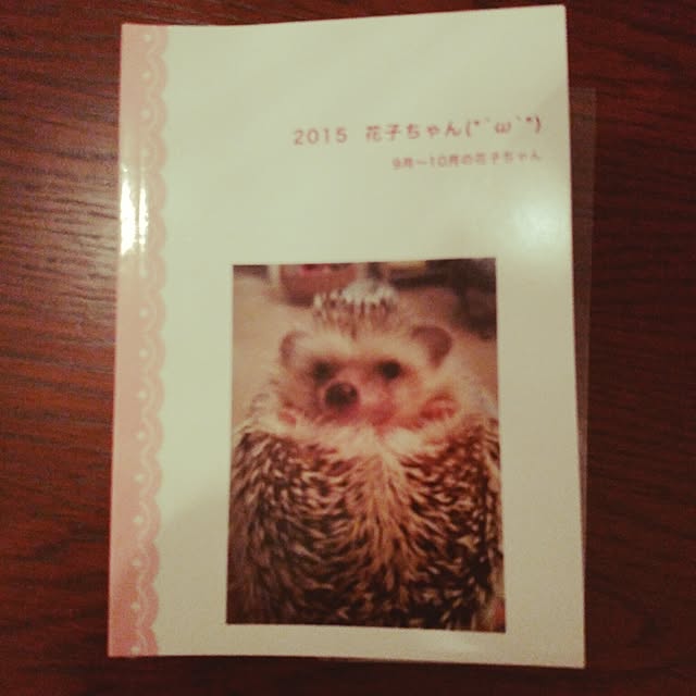 kuruさんの実例写真