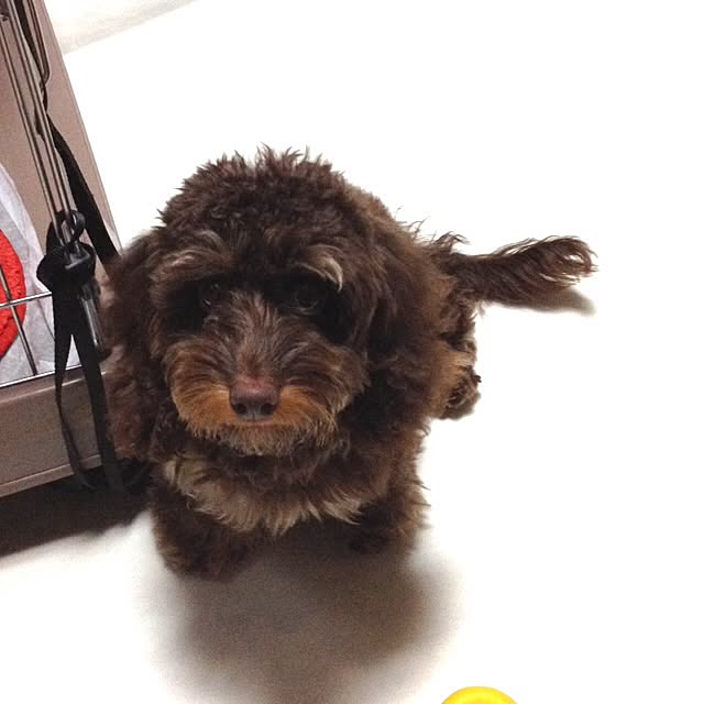 ofusuroさんの実例写真