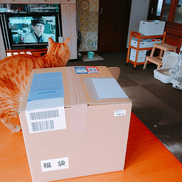 kikiさんの実例写真