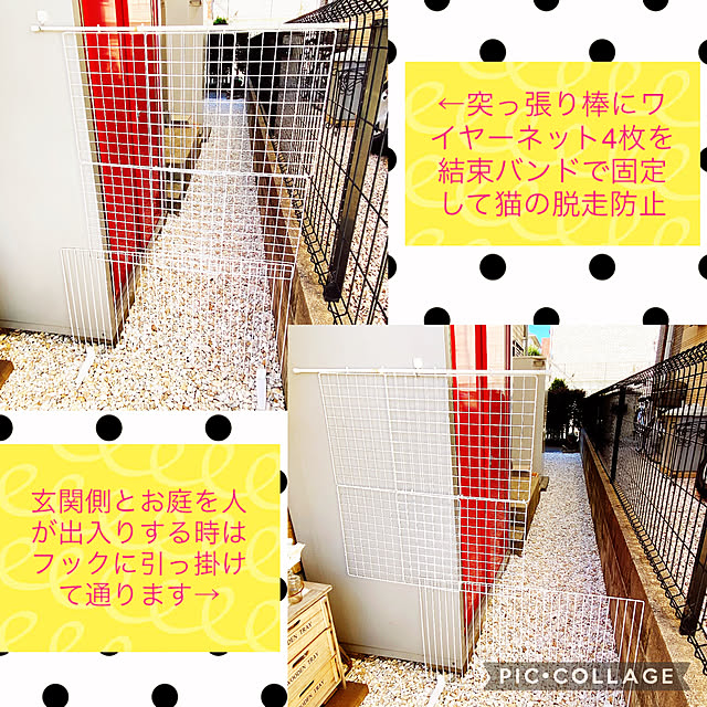 moolさんの実例写真