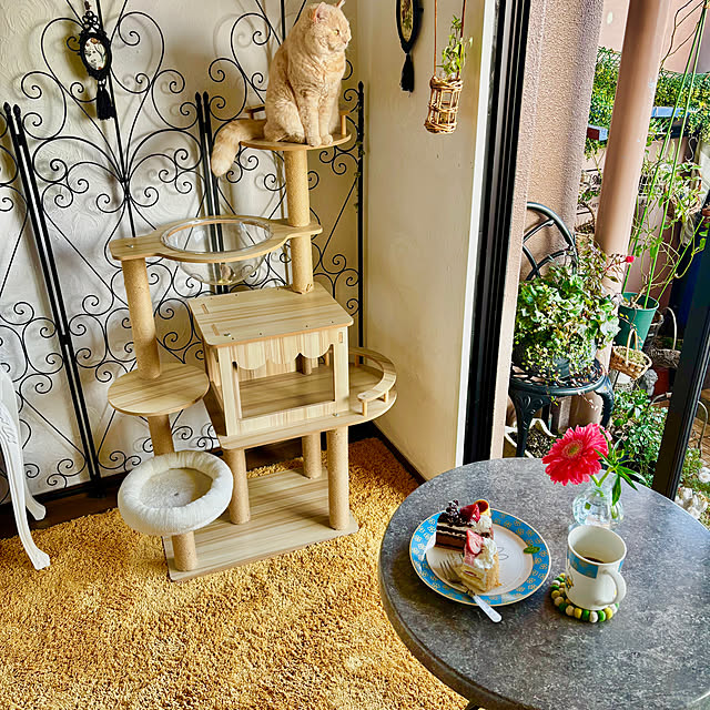 naokoさんの部屋