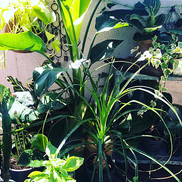 kmmyさんの部屋