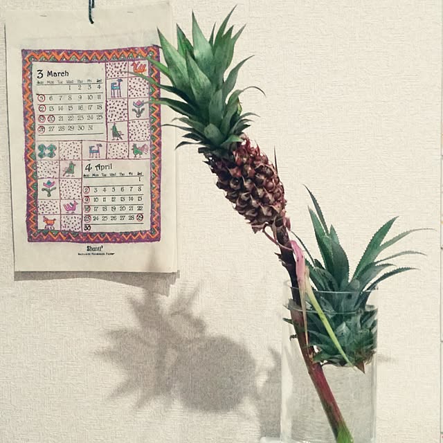nia1213さんの実例写真