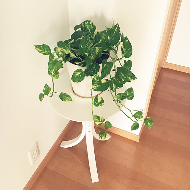 nanachanmamaさんの実例写真
