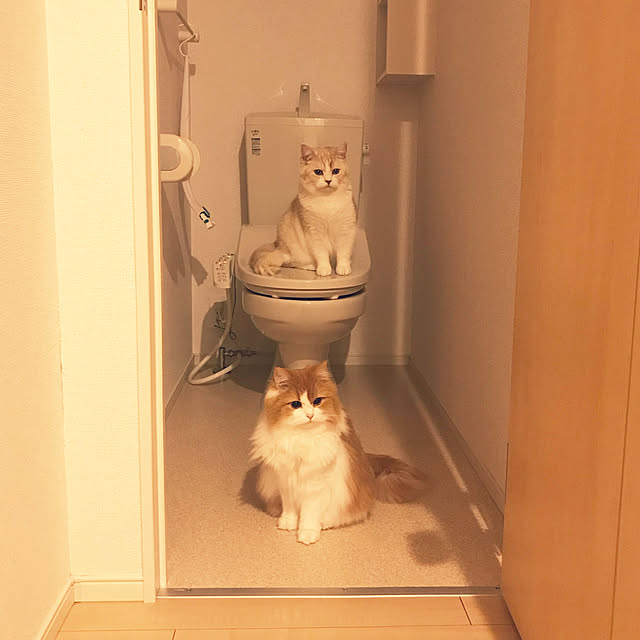 H.Tさんの実例写真