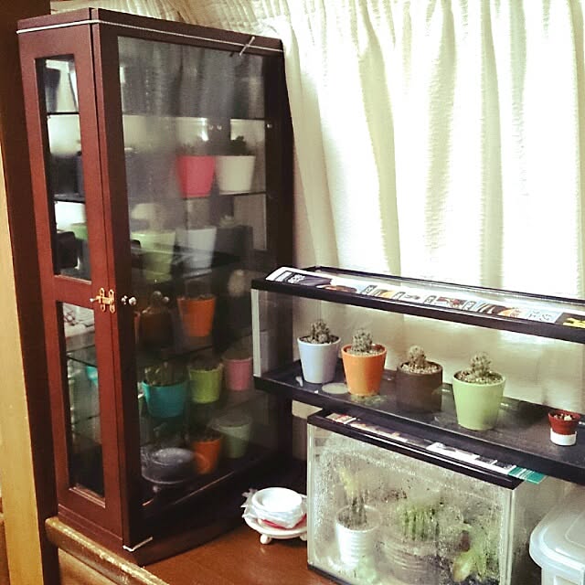 emi87さんの実例写真