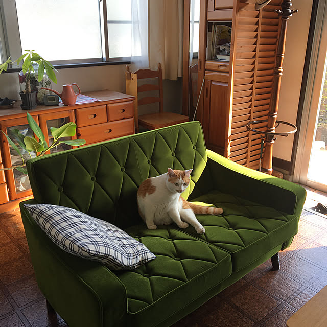 cattowerさんの実例写真
