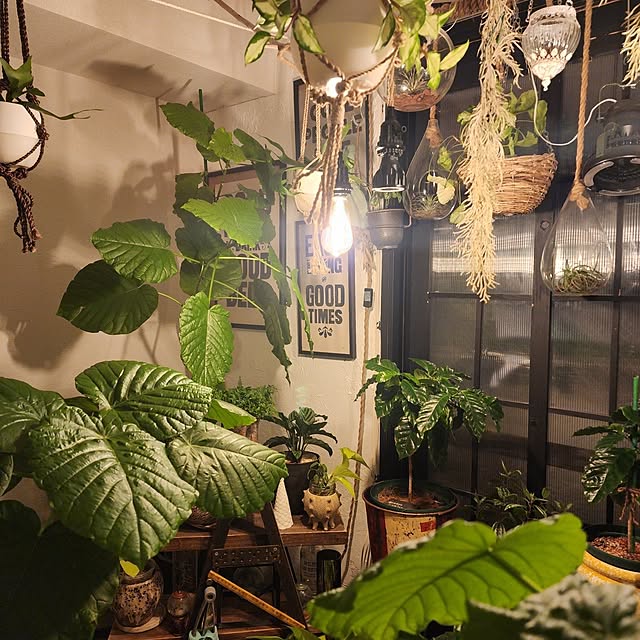 CYNOSさんの実例写真