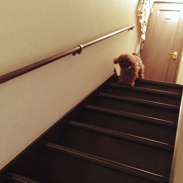 yumicyanさんの実例写真