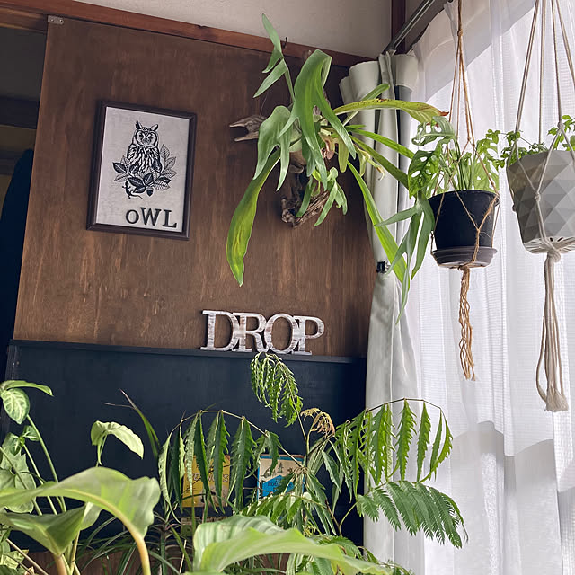 sleeping-dropさんの部屋