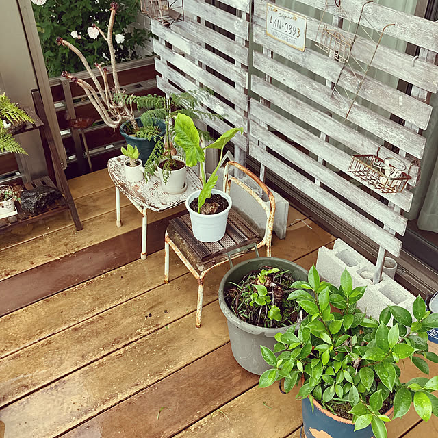 ayayayayaさんの部屋