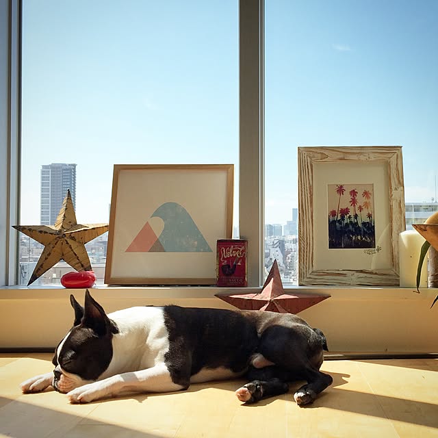 kousuke203さんの実例写真