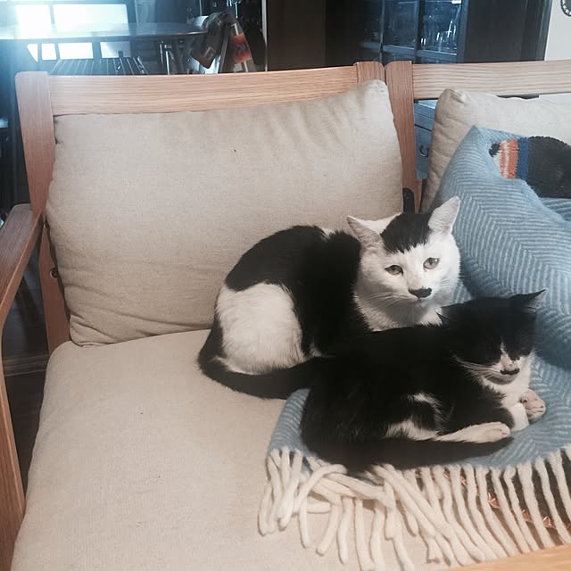 PEさんの実例写真