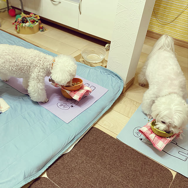 Annieさんの実例写真
