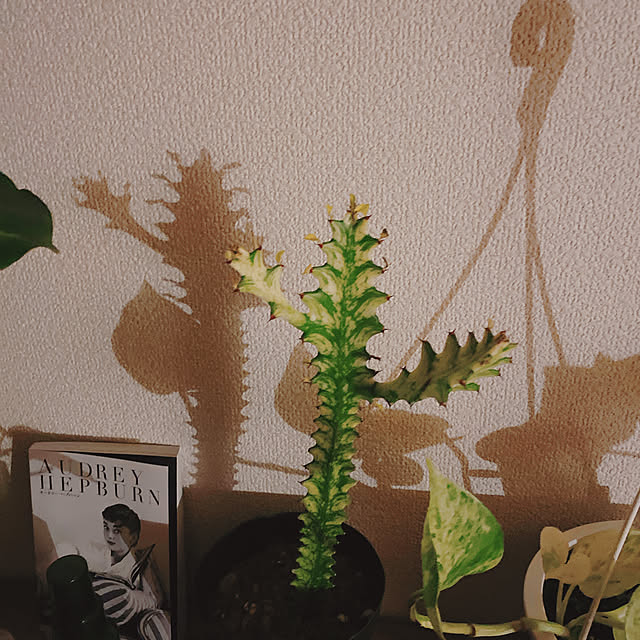 smallroomさんの実例写真