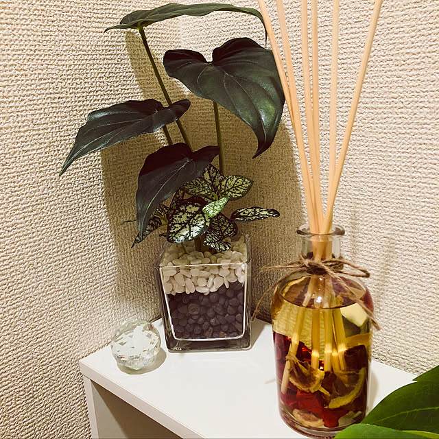 ellyさんの実例写真