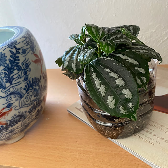 alchoさんの部屋