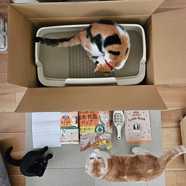 koyurizuさんの部屋