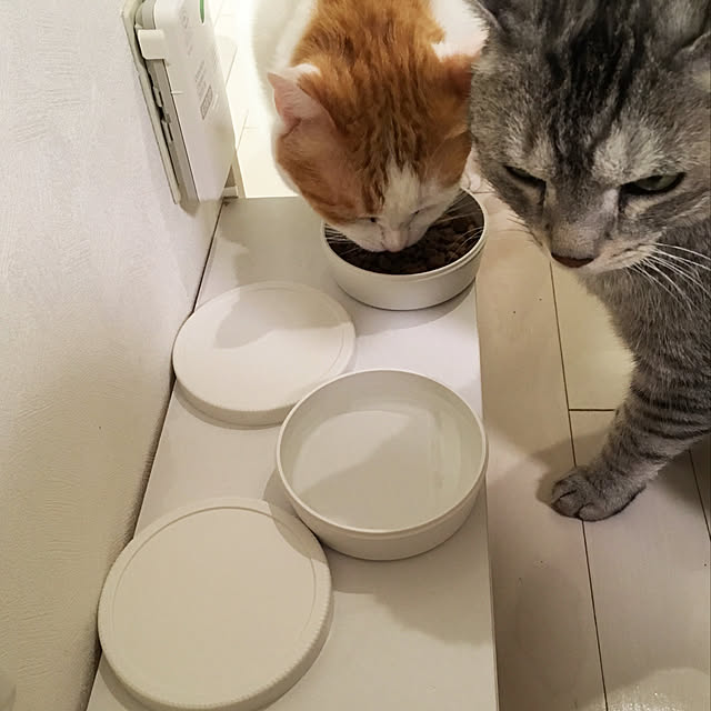 bikkeさんの実例写真