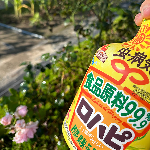 Shiguさんの部屋