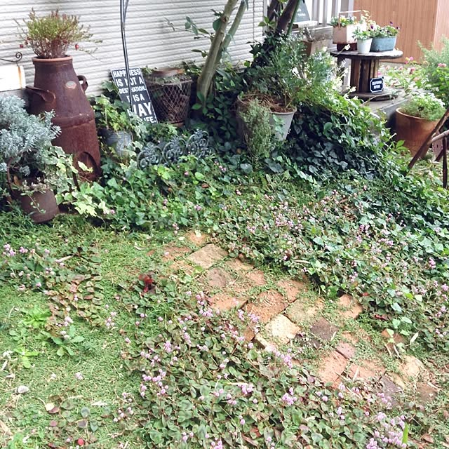 kohakuruさんの実例写真