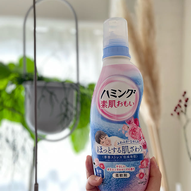 Hisayoさんの実例写真