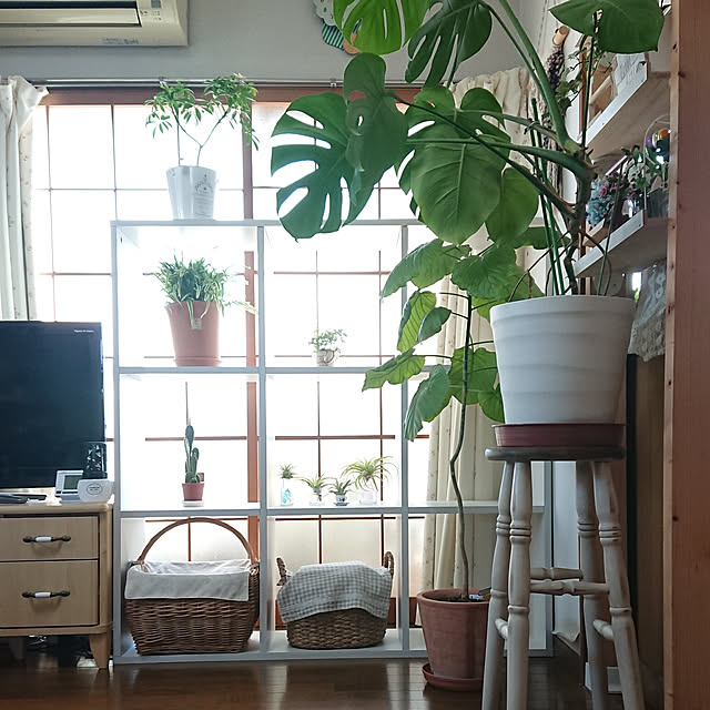 naopyiさんの実例写真