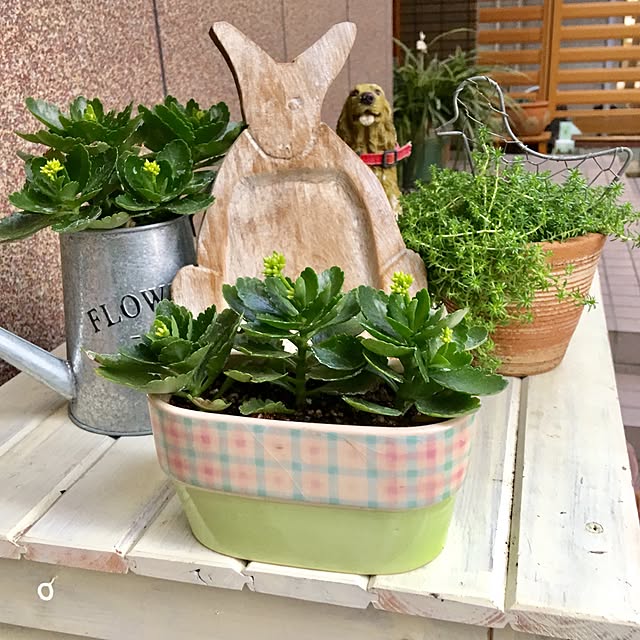 puriyuzuさんの実例写真
