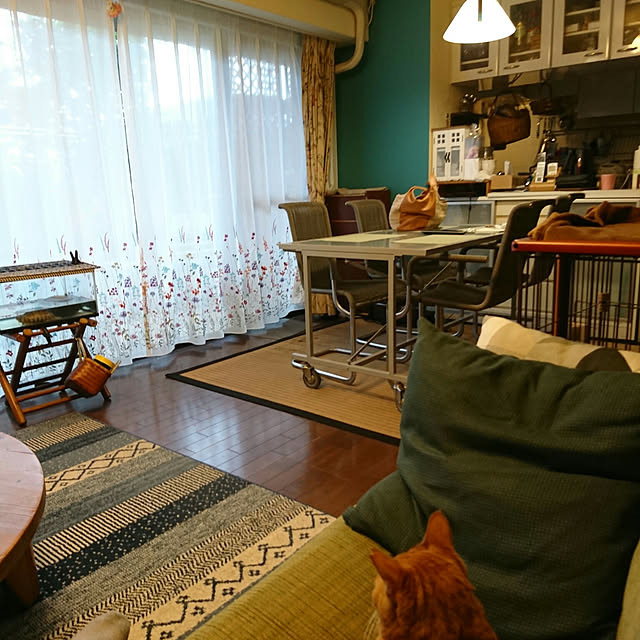 okyosan101さんの実例写真