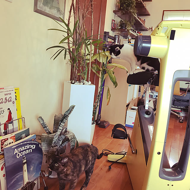 noraさんの実例写真