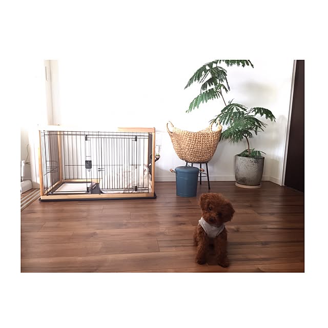 chihooo.sさんの実例写真