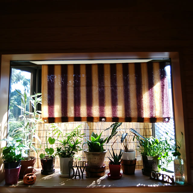 Brown.Lifeさんの実例写真
