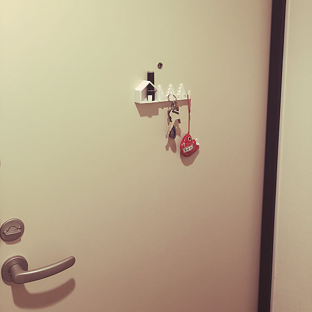 emiさんの実例写真