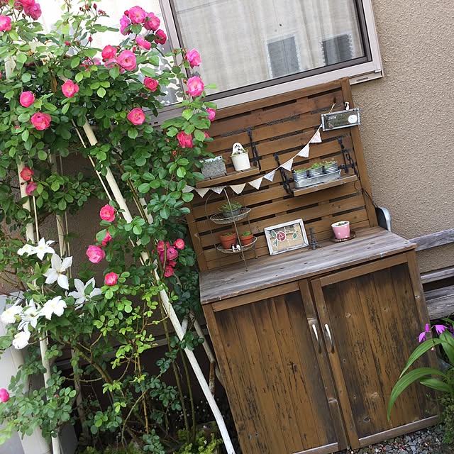 mippoko345さんの実例写真