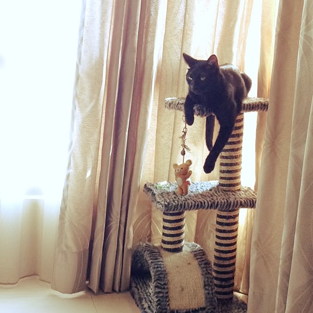 Chia-lingさんの実例写真