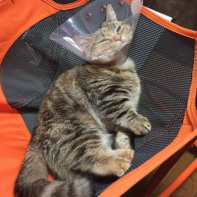 keibooさんの実例写真