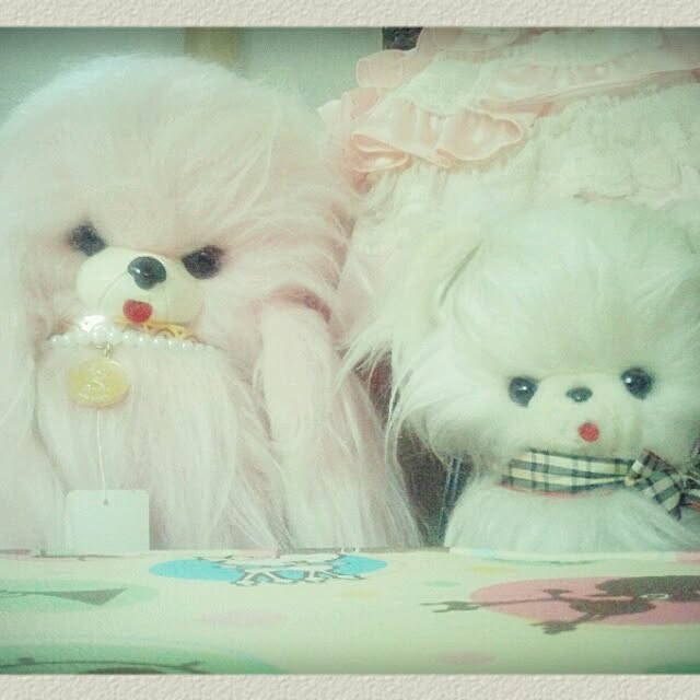booさんの実例写真