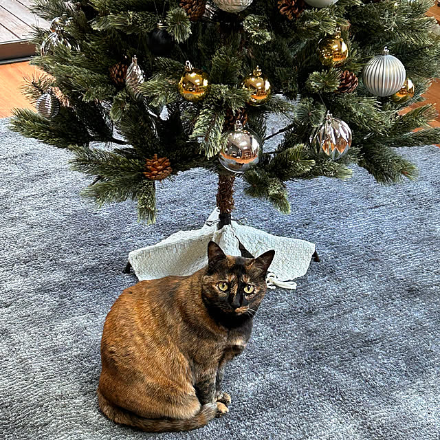 cocoさんの実例写真