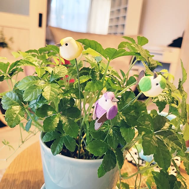 berryberryさんの実例写真